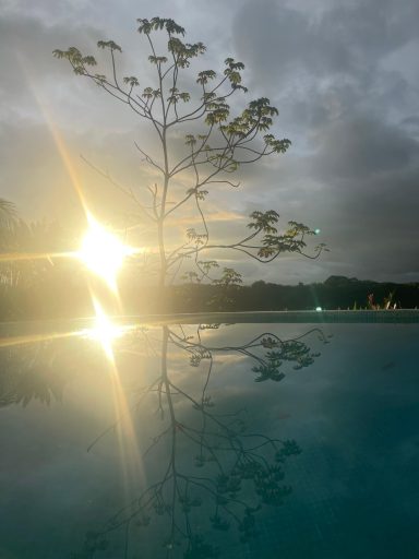 sunrise beyond the pool