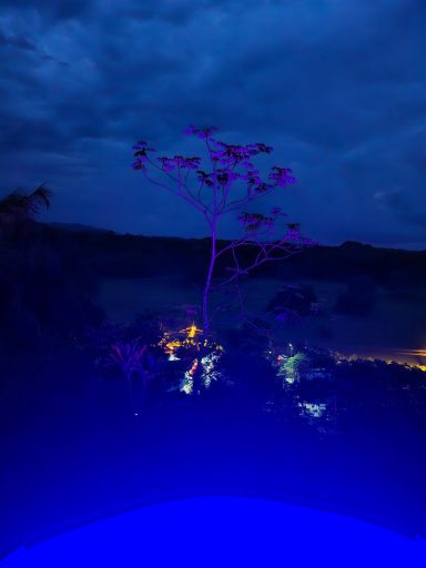 blue nigth at the pool