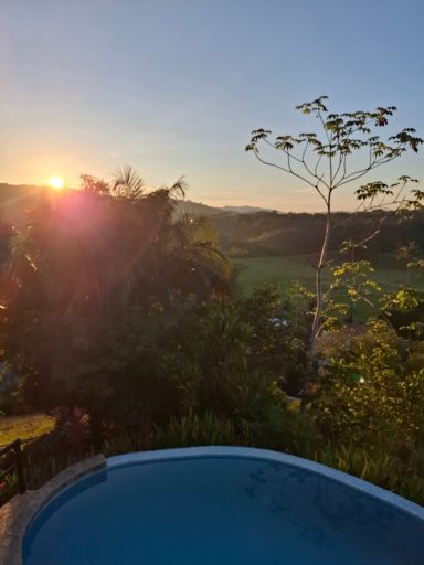 sinrise at the pool behind the beautiful trees