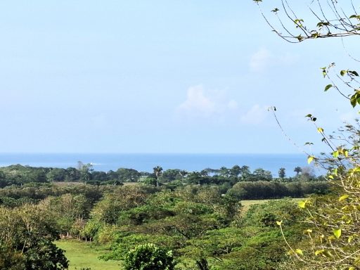 seaview